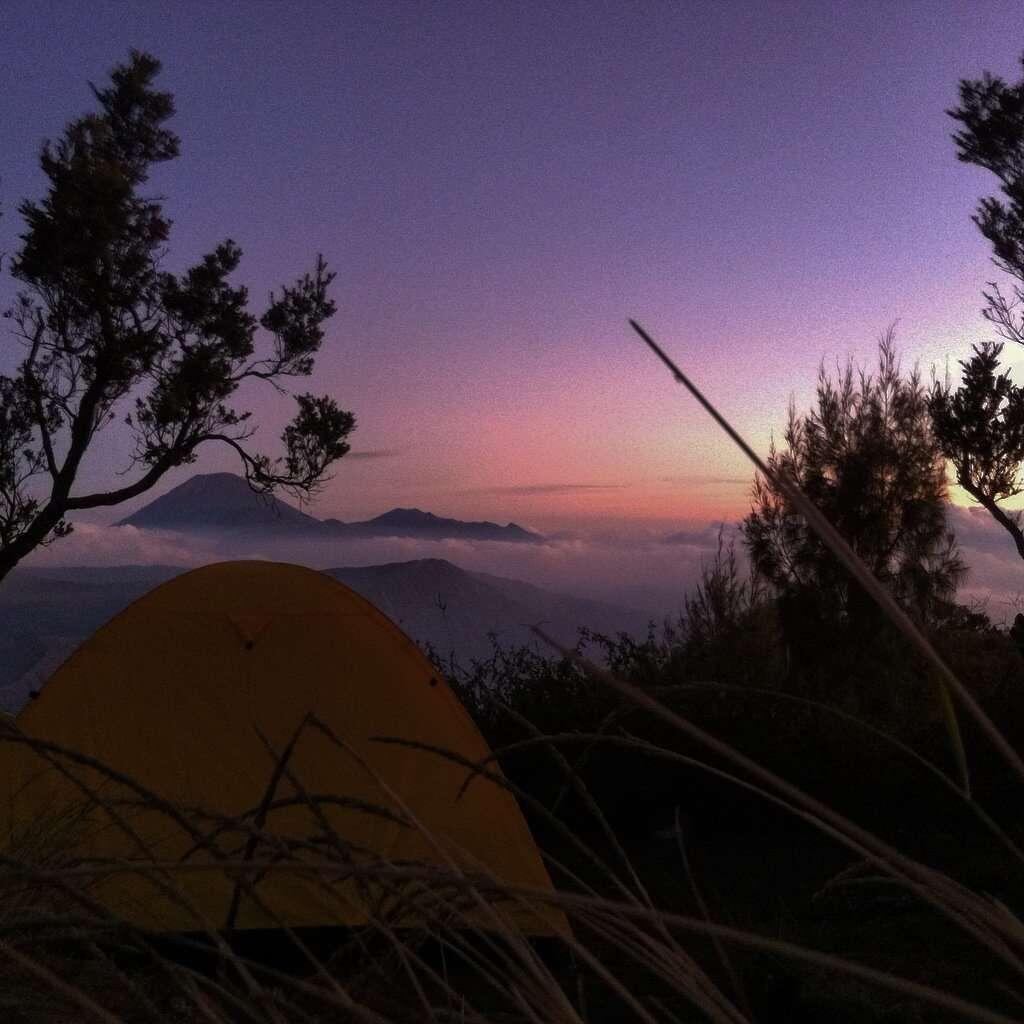 Sante sante dibromo