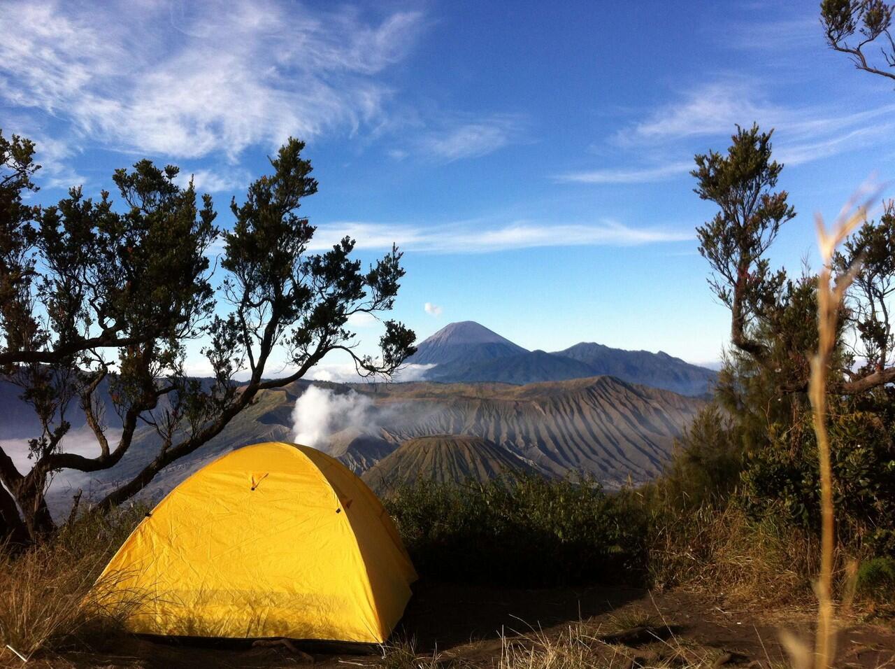 Sante sante dibromo