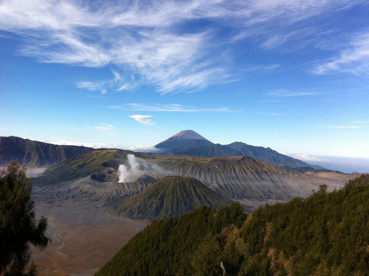 Sante sante dibromo