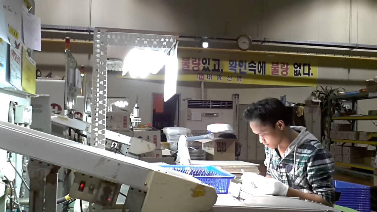 Kenapa gak Jadi TKI Korea ?