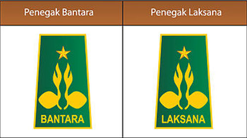 Kenali Macam-Macam Golongan dan Tingkatan Dalam Gerakan Pramuka