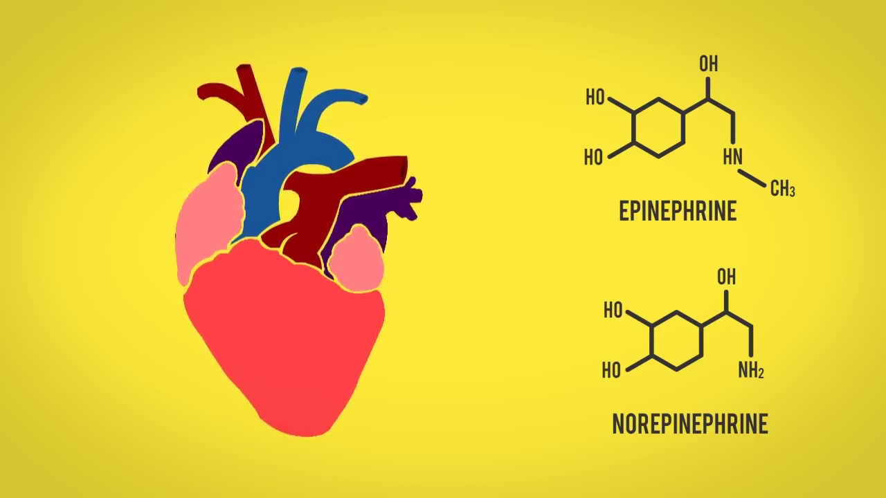 &#91;VIDEO+PICS&#93; Video Karya Kaskuser ini Bikin Wawasan Agan Bertambah