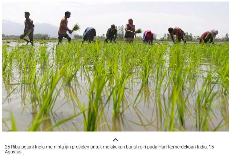 Dalam Perayaan Kemerdekaan 25 Ribu Petani indianesia Ajukan Ijin Bunuh Diri Massal