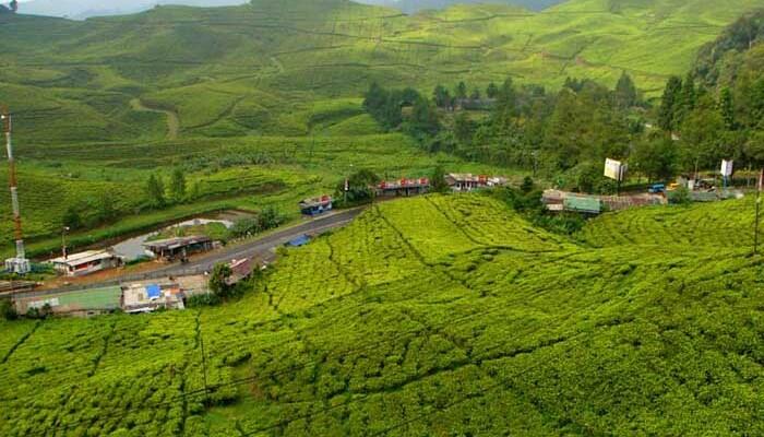 Keberadaan Wisatawan Timteng di Puncak, Ada Untung Ruginya