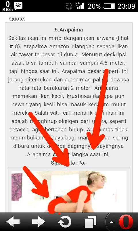 Nemu penampakan di trit orang