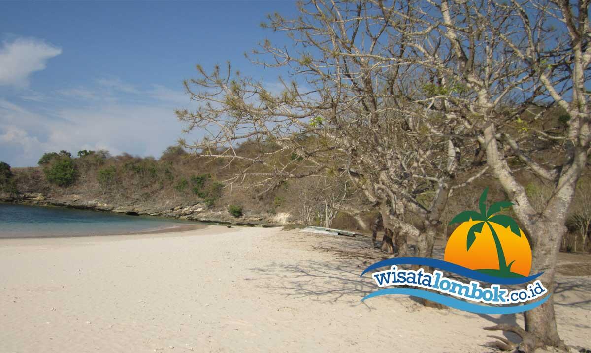 Pantai Pink Lombok Yang Menakjubkan dan Menawan