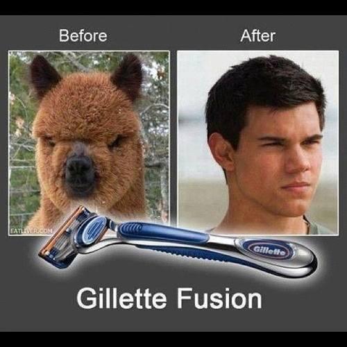 Funny Pics!!! Hajar gan