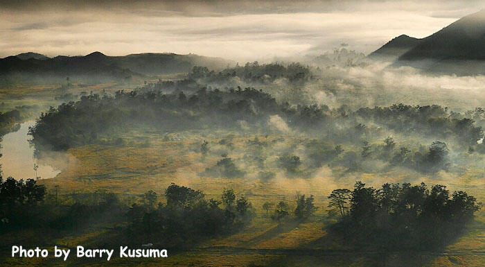 Festival Lembah Baliem Papua yang mendunia.