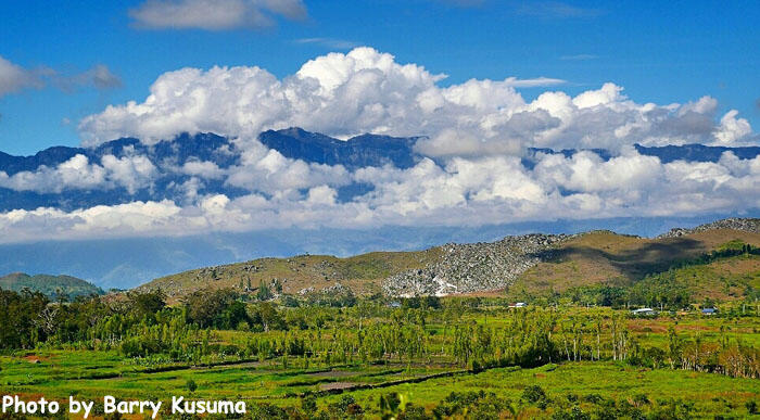 Festival Lembah Baliem Papua yang mendunia.