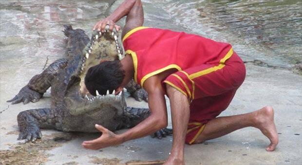 Hal-hal Konyol yang dilakukan Orang-Orang ini Justru Sangat Berbahaya 