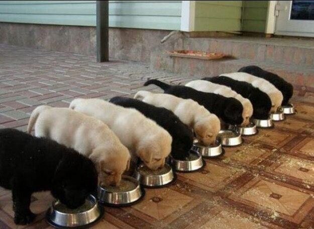 20 Hal Sederhana yang Sebenarnya Sangat Mengganggu kita gan (Pictures Inside)