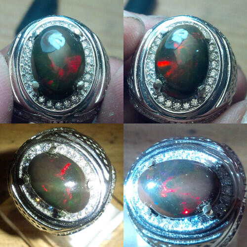 LELANG 131 CLS SENIN TGL 25 JAM 22.00 WKT KASKUS
