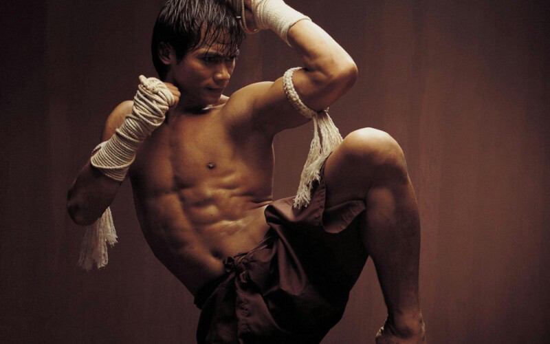 Fitness, Calisthenics, dan Muay Thai; Mana yang Lebih Baik?