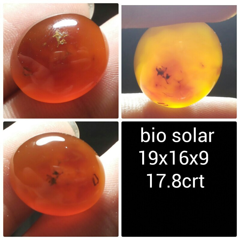 lelang batu petergemstone pusing pala barbie close 25-08-2015 jam 22:05