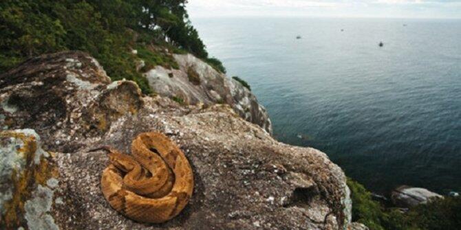 7 Pulau di Dunia yang Terlalu Mengerikan Untuk Dihuni Manusia