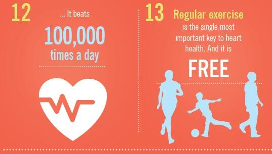infografik tentang jantung agar meningkatkan kesehatan diri agan