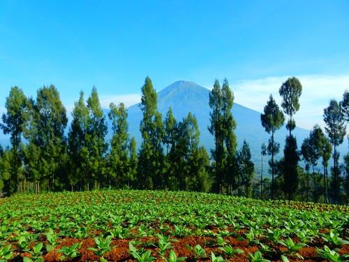 &#91;CATPER&#93; - Gunung Sumbing Yang Sempat Tertunda &#91;15-17 Mei 2015&#93;