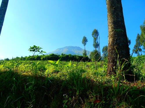 &#91;CATPER&#93; - Gunung Sumbing Yang Sempat Tertunda &#91;15-17 Mei 2015&#93;