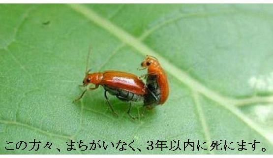Hari-Hari Peringatan Aneh Bulan Mei di Jepang