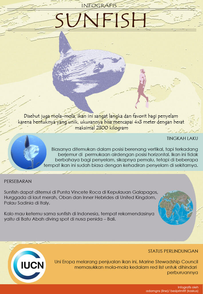 Hewan2 raksasa yang bisa diajak nyelam di Indonesia (+pic +infografis)