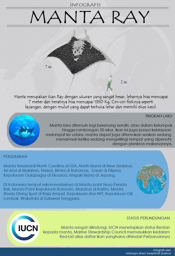 Hewan2 raksasa yang bisa diajak nyelam di Indonesia (+pic +infografis)