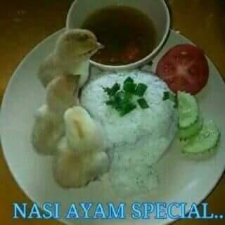 Nasi ayam special gan