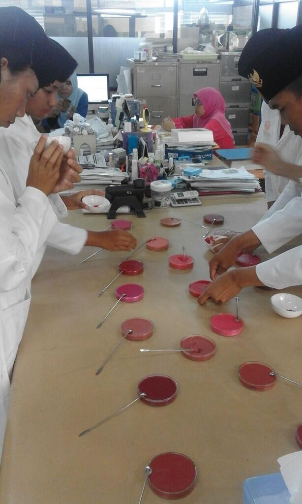 Dibalik Kecantikan Sang Pembawa Baki di Upacara Hari Kemerdekaan