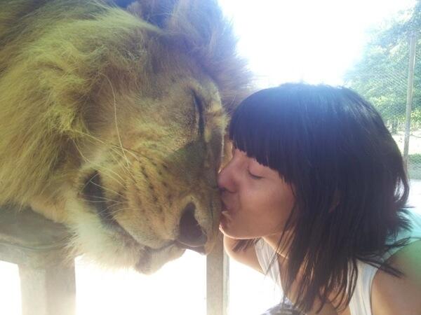 Lujan Zoo (Argentina). Kebun binatang paling ekstrem di Dunia?