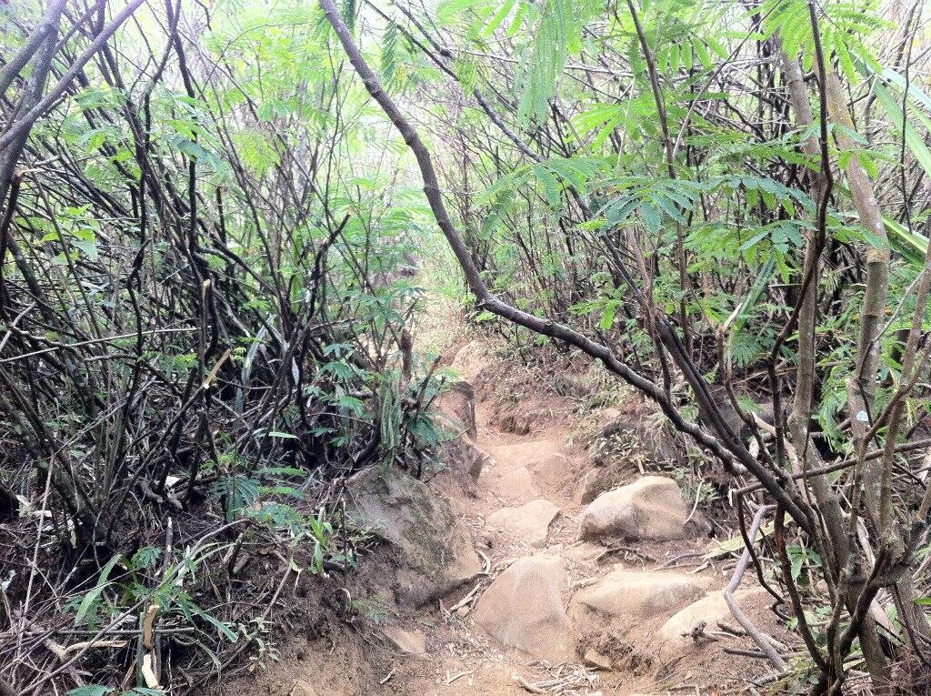 &#91;CatpeR&#93; Soloist Bayar Hutang ke Puntang – Puncak Mega 2222mdpl