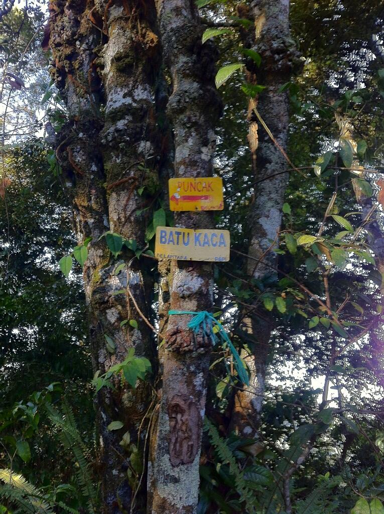 &#91;CatpeR&#93; Soloist Bayar Hutang ke Puntang – Puncak Mega 2222mdpl