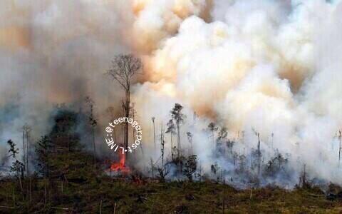 SURAT RIAU UNTUK INDONESIA