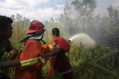 &#91;JOB PRESIDEN?&#93; Presiden Jokowi Tinjau Langsung Penanganan Kebakaran Lahan di Sumsel