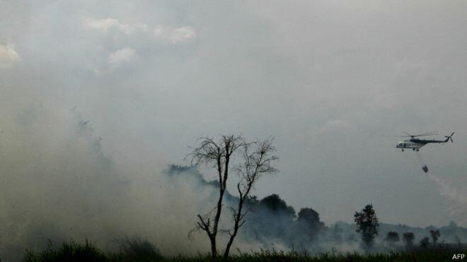 Mencegah Kebakaran dapat Mengurangi Kabut Asap di Indonesia