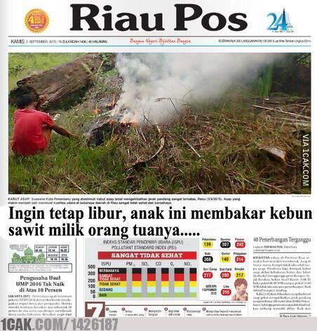 Mencegah Kebakaran dapat Mengurangi Kabut Asap di Indonesia