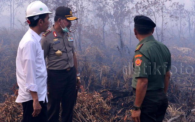 Foto Presiden Jokowi Tembus Hutan yang Hangus di Dusun Garonggang Sumsel