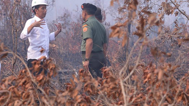 Foto Presiden Jokowi Tembus Hutan yang Hangus di Dusun Garonggang Sumsel