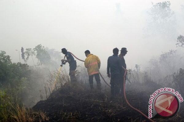 Berkenalan Dengan Kebakaran Hutan