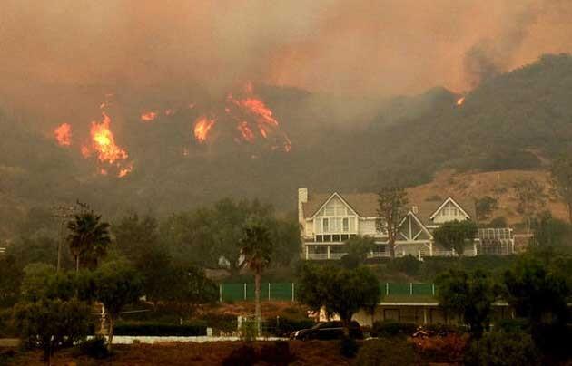 Berkenalan Dengan Kebakaran Hutan