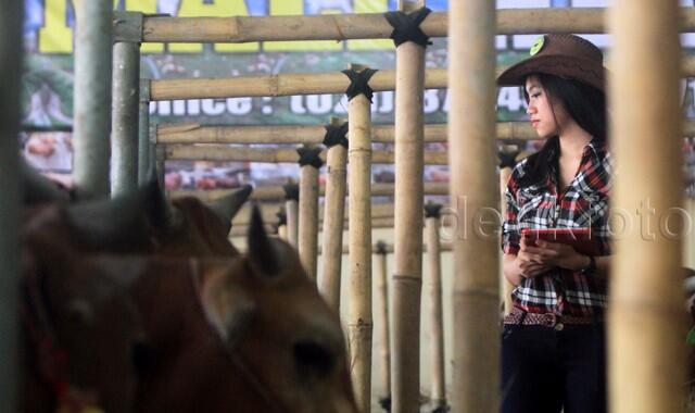 SPG Cantik Bertopi Koboi Ini Sedang Apa ? Rupanya Lagi Jualan Sapi Kurban