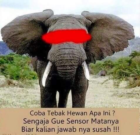 Tebak Bambar