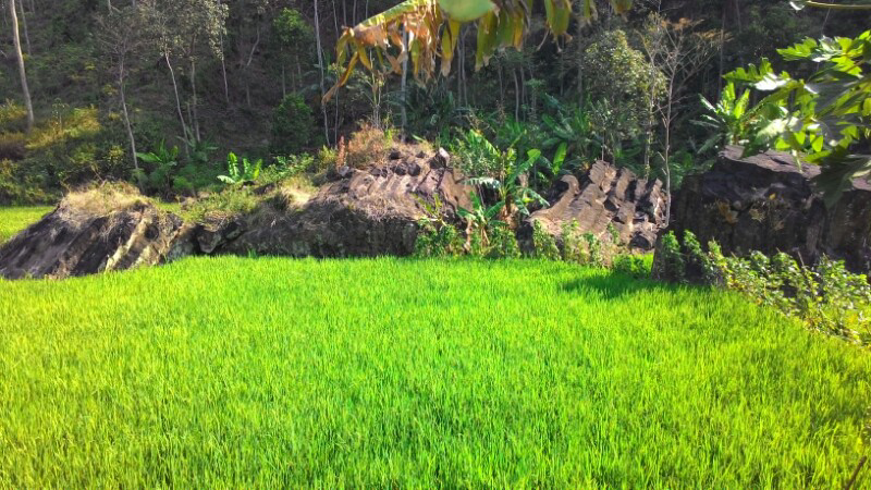 Jepara punya peninggalan candi dari masa lampau