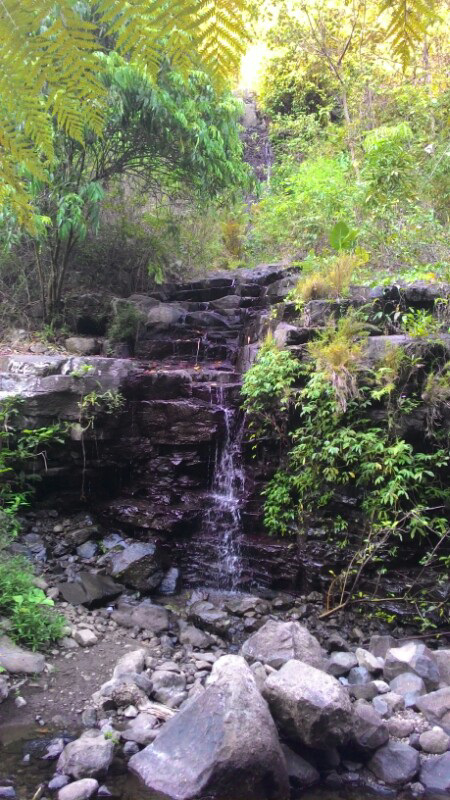 Jepara punya peninggalan candi dari masa lampau