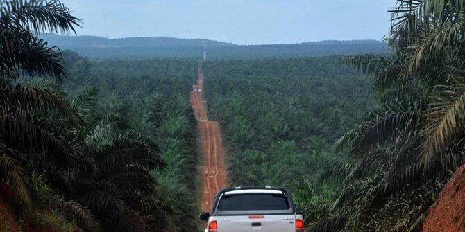Film-film beken ini terinspirasi atau berseting Pulau Kalimantan