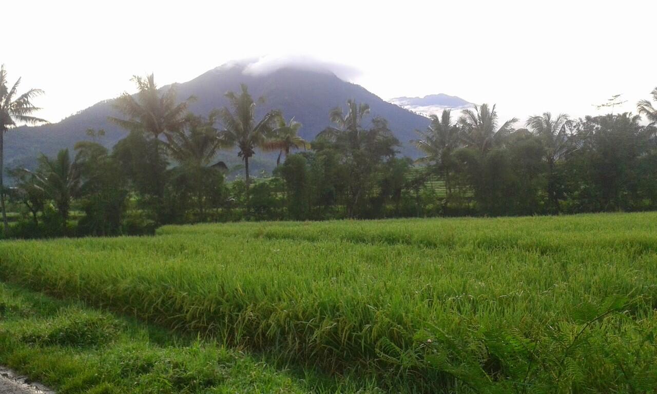 RINDU UDARA SEGAR