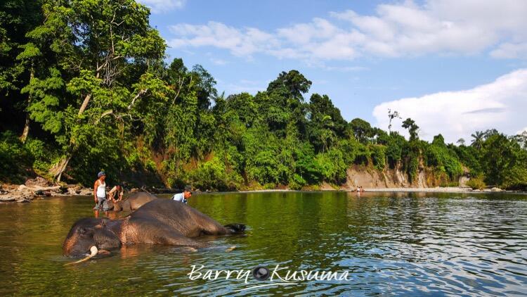 Tangkahan The Hidden Paradise di Sumatera Utara.