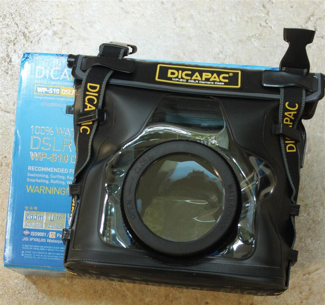 Pengalaman Underwater Amatir dan Tip
