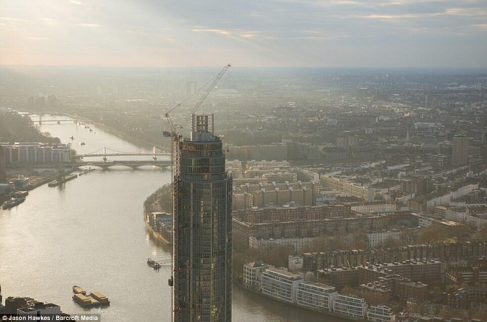 Sekilas tentang Tower Crane