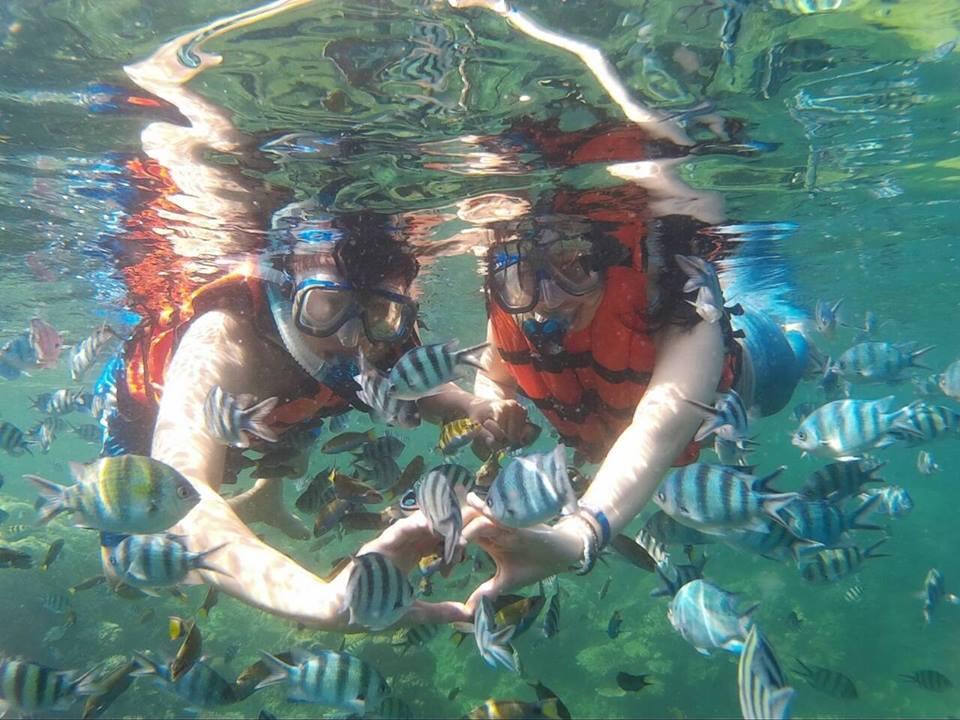 CICIP PULAU KARIMUNJAWA, GAPAKE NYESEL GANNNNNNNN