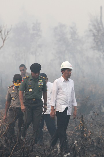 Tegasnya Jokowi Cabut Izin Usaha Pembakar Hutan