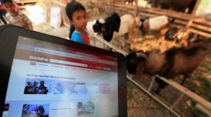 Beli Kambing Kurban di Bukalapak Hanya Rp1,5 Juta, bonus 300ribu
